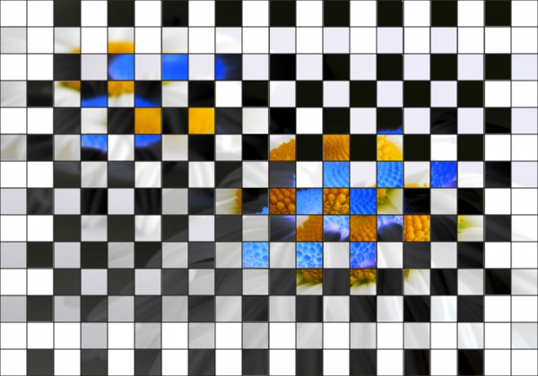 Creation of Checkered: Step 4